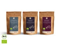 Grüner Tee Test-Set FLAVORS