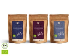 Grüner Tee Test-Set MIZUDASHI -Sakura Verkauf gruener tee test set mizudashi 1