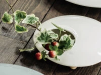 Ikebana-Vasen Mammals L, Weiß 4 Ikebana-Vasen Mammals L, Weiß – Bild 2