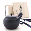 Japanische Teekanne Tokoname Sendan Maru Mit Geschenkbox -Sakura Verkauf japanische teekanne tokoname sendan maru mit geschenkbox