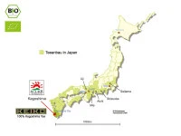 KEIKO Kabusecha Soshun, 50 G Frischebeutel 8 KEIKO Kabusecha Soshun, 50 G Frischebeutel – Bild 6