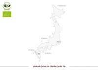 Shincha Kyushu Bio, First Flush, 50 G 6 Shincha Kyushu Bio, First Flush, 50 G – Bild 4